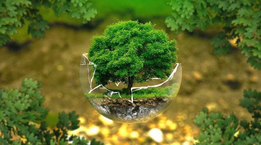Еко-прогноз на 2020 рік: чого нам чекати?