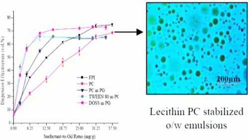 Соя може бути використана для очищення розливів сирої нафти