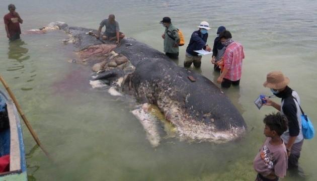 Вбивчий пластик для тварин