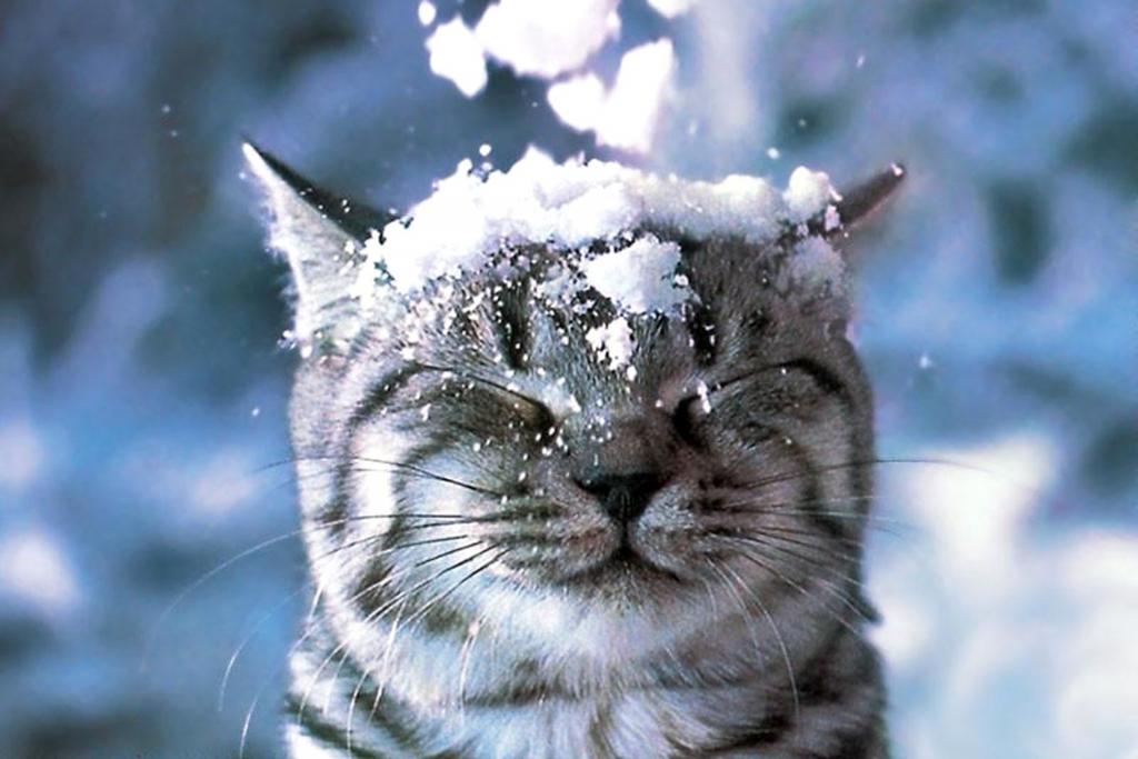 КОЛИ ПРИЙДУТЬ ТРІСКУЧІ МОРОЗИ?