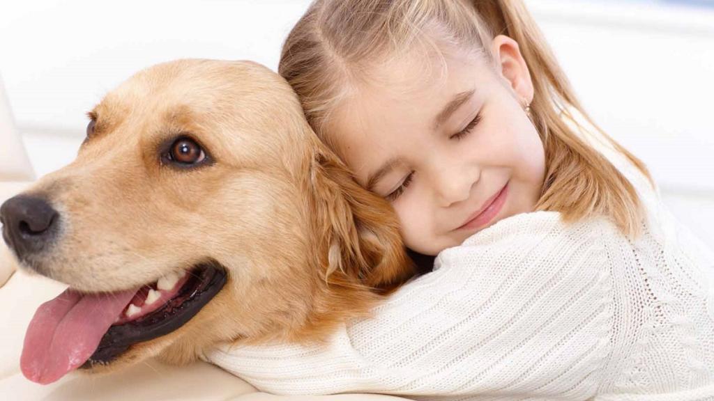 Вчені дослідили вплив тварин на людей під час карантину і дійшли несподіваних висновків 