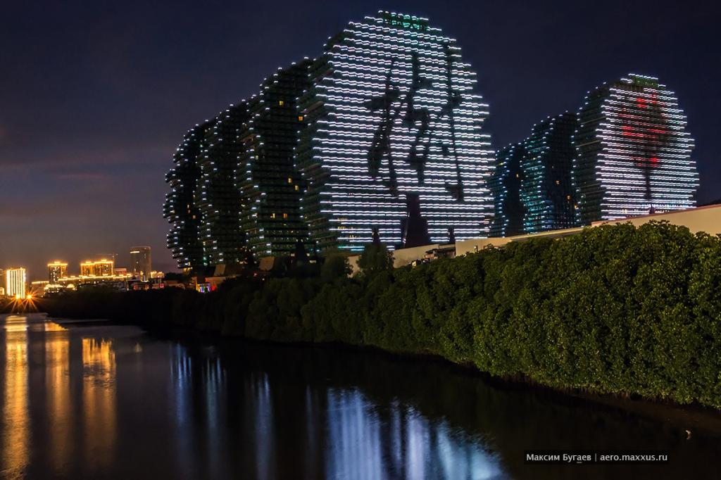 Дивовижні дерева, в яких можуть мешкати не тільки білки