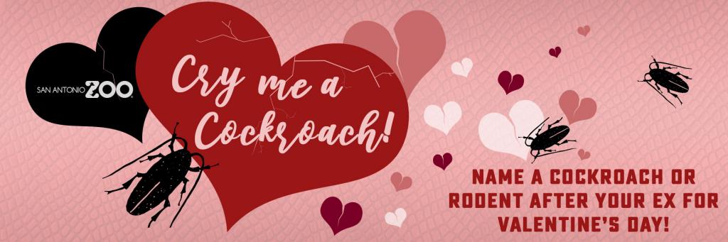 Акції до Дня закоханих: назвіть таргана ім'ям вашого екса та згодуйте його птахам