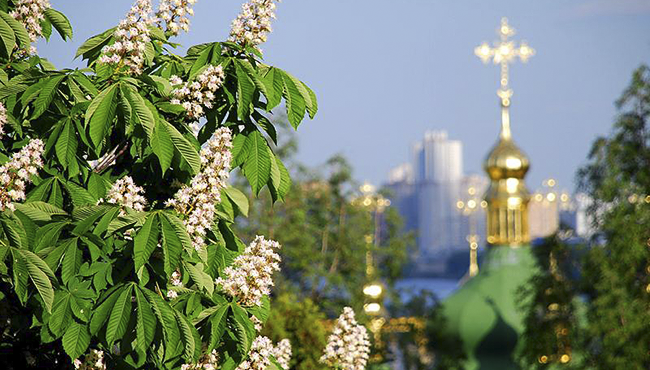 Хрещатик залишиться без головного символу столиці.