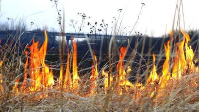 Чому не можна спалювати суху траву: наслідки та покарання