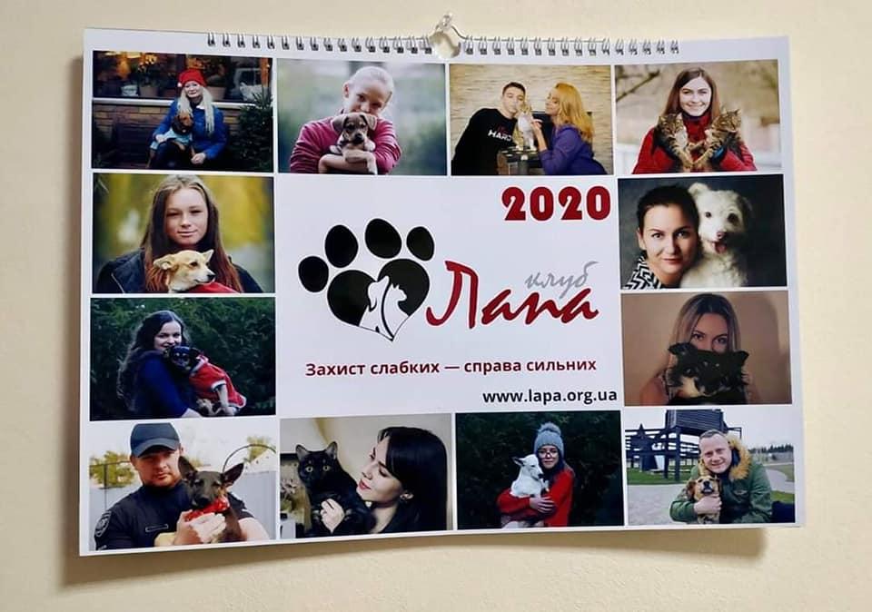 Бездомні тварини, котрих прихистили рівняни – стали моделями календаря 2020