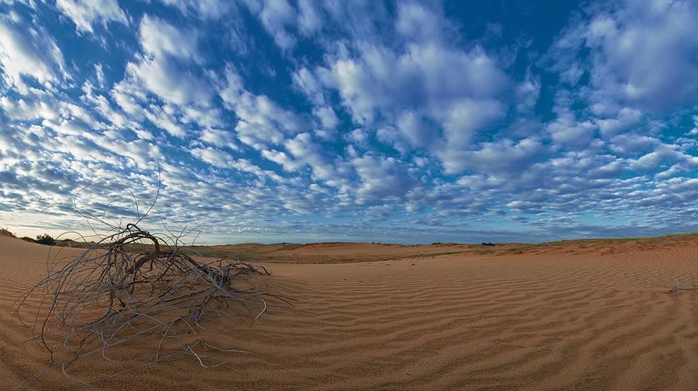 Українська Сахара 