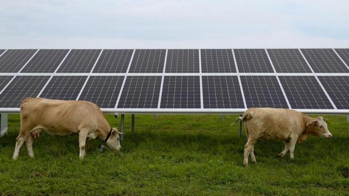 22 тисячі українських родин встановили домашні сонячні електростанції